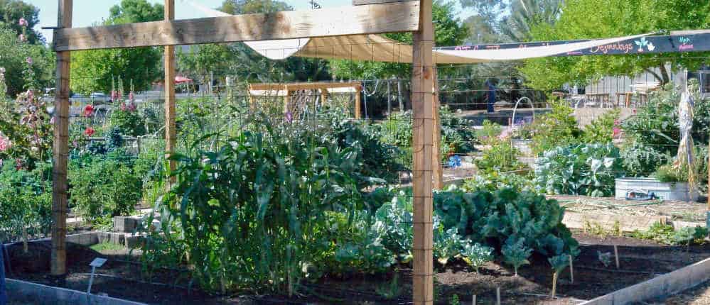 Horizontal shade cloth over garden.
