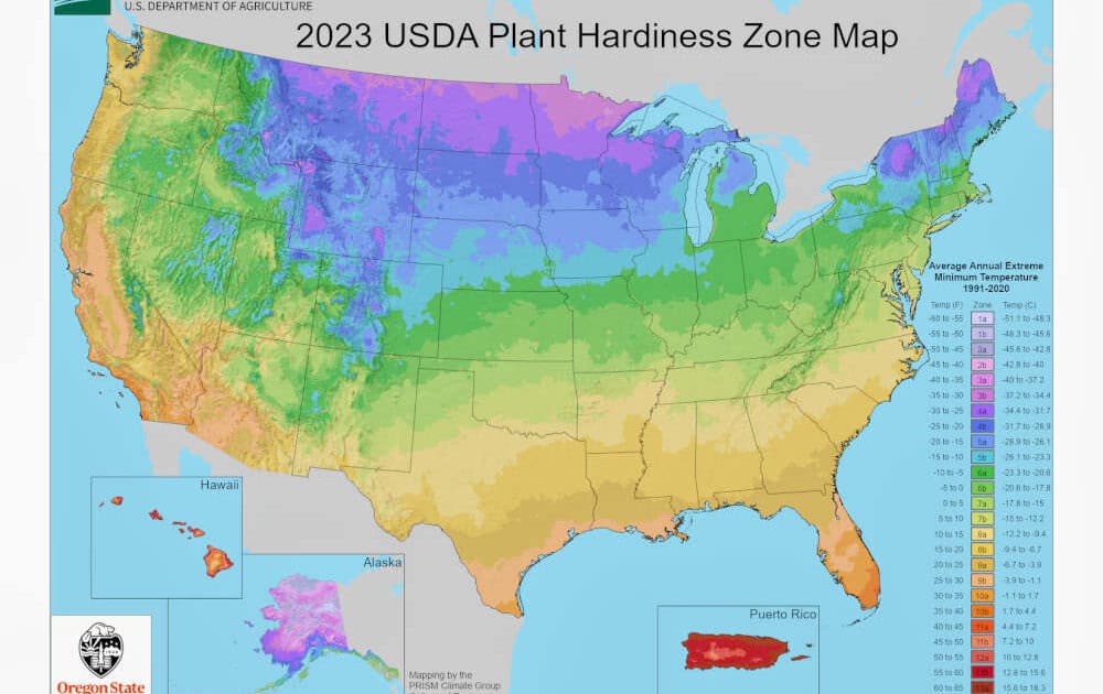 USDA Plant Hardiness Zone Map - 2023