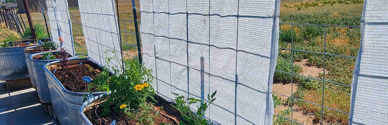 Vertical shade cloth on row of container beds.