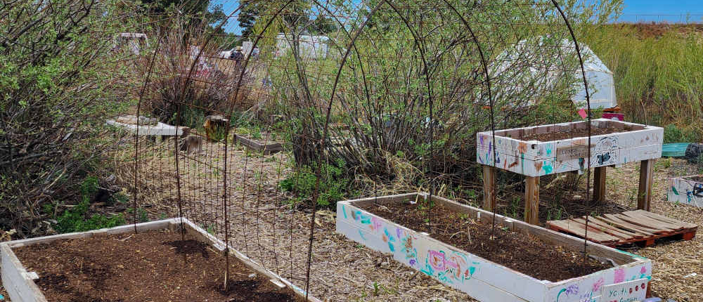 Garden trellis and beds.