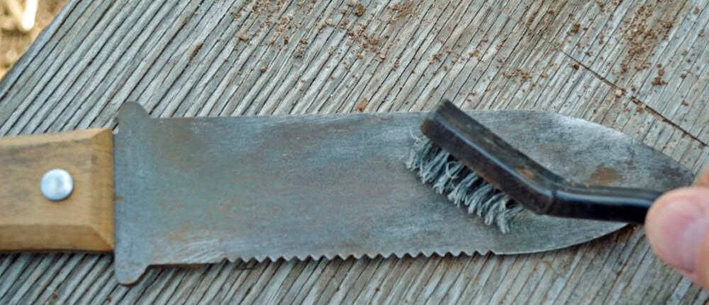 Cleaning Hori Hori with wire brush.